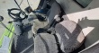 Lexion 650