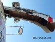 Jaguar 940