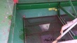 ZAM 3001