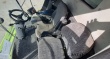 Lexion 650