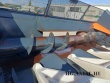 PSM 6