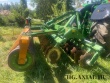 Amazone