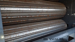 Rollant 620 RF